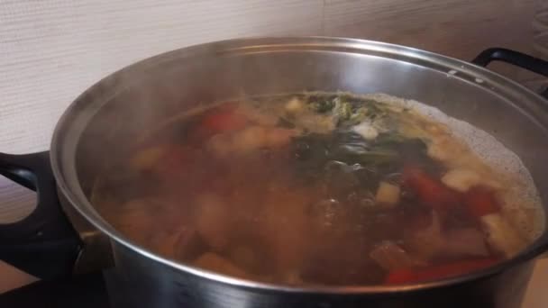 Cooking Soup Overhead View Pot Boiling Vegetables Vegeteranean Food High — Vídeos de Stock
