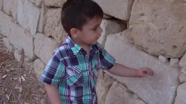 Preschool Boy Exploring Limestone Wall Vacation Travel Kids Concept Slow — 비디오