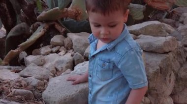 Cute toddle playing with the rocks near the cactus in the park. Sunset slow motion shot . High quality FullHD footage