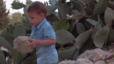 toddlers playing with limestone rocks near the big cactus. slow motion. High quality FullHD footage