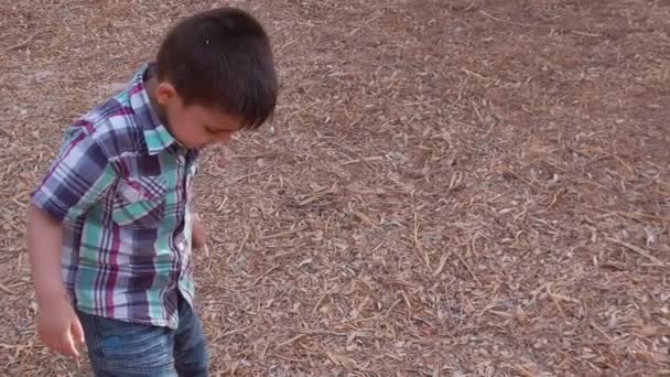 Cute Toddler Throws Dry Fallen Leaves Him Excitement Oudoors Fall — Stockvideo