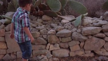 Cute toddle playing with the rocks near the cactus in the park. Sunset slow motion shot Transition . High quality FullHD footage