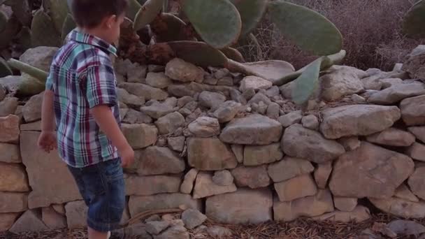 Cute Toddle Playing Rocks Cactus Park Sunset Slow Motion Shot — Vídeos de Stock