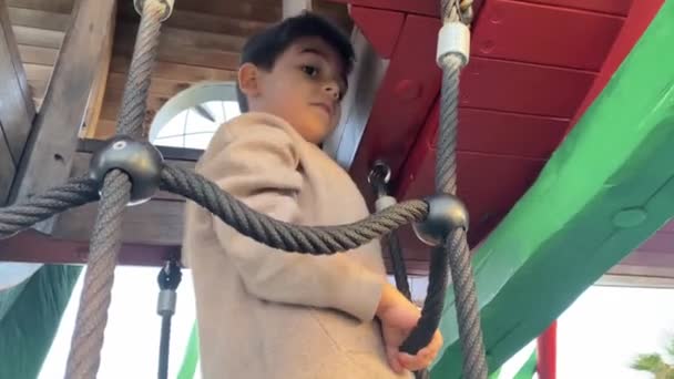 Feliz Niño Preescolar Subiendo Las Cuerdas Parque Entrando Treehouse Imágenes — Vídeos de Stock