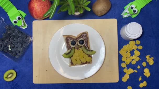 창의적 아이들에게 음식을 합니다 초콜릿 콘플레이크를 접시에 부엉이처럼 아름답게 놓는다 — 비디오