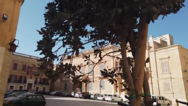 Mdina Malta Listopadu 2023 Biskupský Palác Náměstí Pavla Středověkém Městě — Stock video