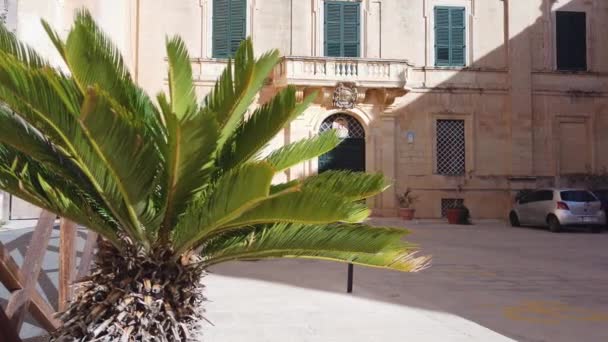 Mdina Malta November 2023 Kathedrale Museum Saint Paul Museum Für — Stockvideo
