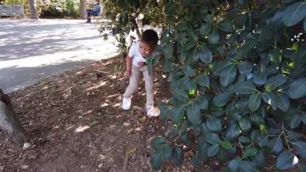 Hiperaktif Bir Çocuk Çalıların Arkasına Saklanıp Parkta Koşuyor Yavaş Hareket — Stok video