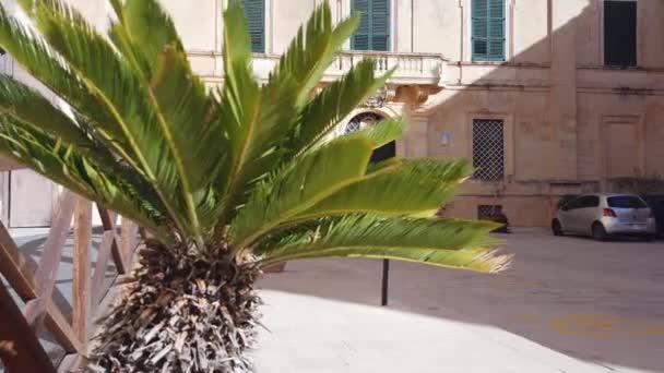 Mdina Malta 2023 November Székesegyházi Múzeum Saint Paul Vallási Művészeti — Stock videók