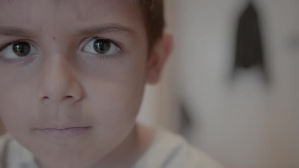 Porträtt Arg Förskolepojke Barn Ogillar Sysslor Högkvalitativ Film — Stockvideo