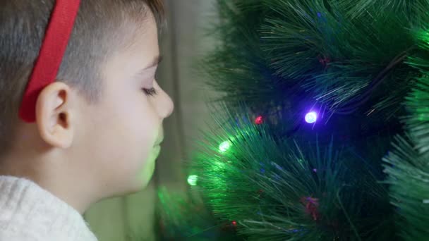 Decoración Del Árbol Navidad Lindo Chico Disfrutando Coloridas Luces Navidad — Vídeos de Stock