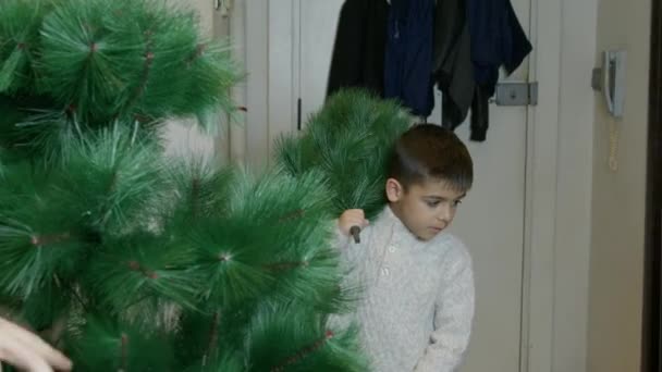 Enfant Apporte Une Partie Arbre Noël Pour Aider Papa Décorer — Video