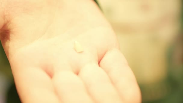 Симпатичный Мальчик Держит Молочный Зуб Руке Перед Елкой Высококачественные Кадры — стоковое видео
