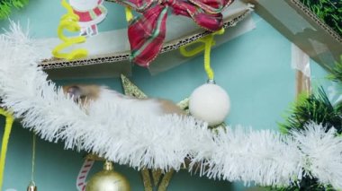 Noel süslemeli labirentte sevimli bir hamster. Yüksek kalite 4k görüntü