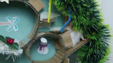Noel süslemeli labirentte sevimli bir hamster. Yüksek kalite 4k görüntü