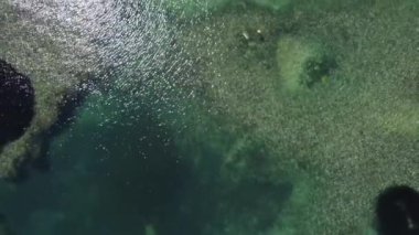 Mistra Körfezi 'nin turkuaz zümrüt suyunu, Malta' nın ahır ve kayaları ve Posidonia bölgelerini temizleyin. Yüksek kaliteli FullHD görüntüler