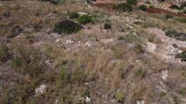 Tarım alanları, teraslı arazi, malta, hava manzarası. Mistra Körfezi, St. Paul Adası, Qawra ve Buggiba, Akdeniz. Yüksek kalite 4k görüntü