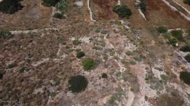 Tarım alanları, teraslı arazi, malta, hava manzarası. Mistra Körfezi, St. Paul Adası, Qawra ve Buggiba, Akdeniz. Yüksek kalite 4k görüntü