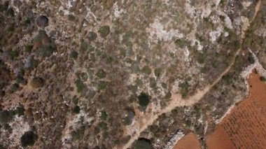 Tarım alanları, teraslı arazi, malta, hava manzarası. Mistra Körfezi, St. Paul Adası, Qawra ve Buggiba, Akdeniz. Yüksek kalite 4k görüntü