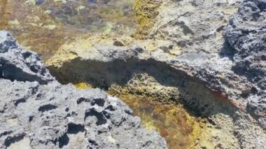 Dalgalar kayalık sahile çarpıyor, ağır çekim. Yüksek kalite 4k görüntü