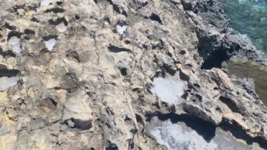 Deniz tuzu dolu aşınmış taş, Santa Maria Bataryası 'nı ortaya çıkarıyor, Comino Adası, Malta. Yüksek kalite 4k görüntü