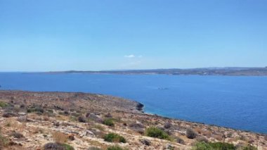 Comino Adası, Malta 'nın engebeli arazisinde güzel renkli kır çiçekleri. Uzakta Akdeniz ve Malta adası görünüyor. Yüksek kalite 4k görüntü