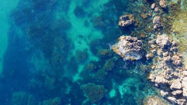 Malta adasında Rocky plajı ve safir deniz suyu, Akdeniz, Ghajn Tuffieha körfezi, Malta. Yüksek kalite fotoğraf