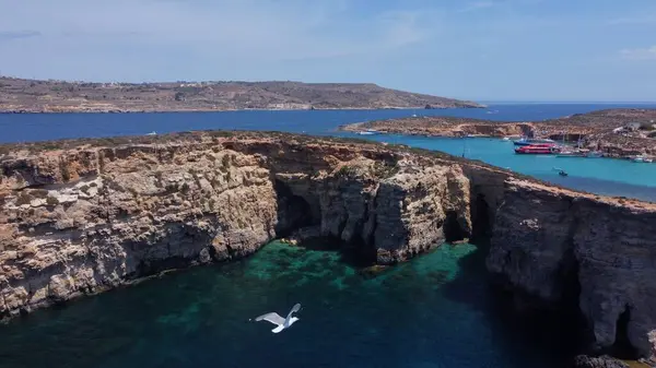 stock image Aerial view of the sea caves of Cominotto uninhabited island near Comino, Maltese islands. Seagull flying in the frame. High quality photo