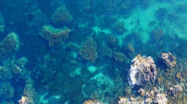 Malta adasında Rocky plajı ve safir deniz suyu, Akdeniz, Ghajn Tuffieha körfezi, Malta. Yüksek kalite fotoğraf