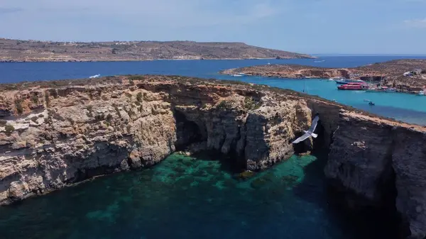 Stock image Aerial view of the sea caves of Cominotto uninhabited island near Comino, Maltese islands. Seagull flying in the frame. High quality photo