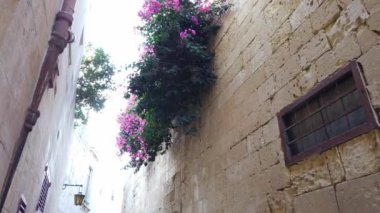 Mdina, Malta 'daki Ortaçağ Taş Duvarları. Yüksek kalite 4k görüntü