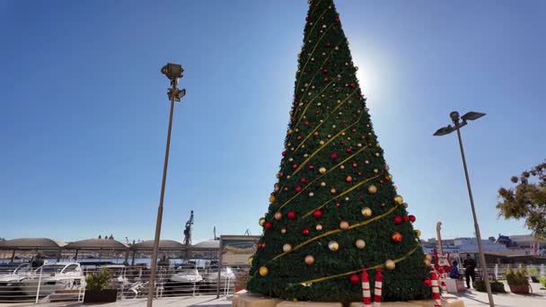 Valletta Malta 2024 Decorated Christmas Tree Sunny Winter Day
