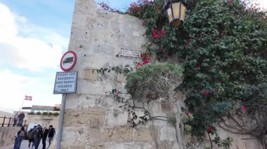 Mdina, Malta 23.11.2024 - Mdina Malta 'da güzel çiçekler ve yol işaretleri. Yüksek kalite 4k görüntü