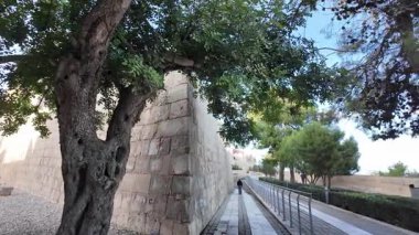 Mdina, Malta 23.11.2024 - Arkasında ağaçlar ve St. Paul katedrali olan tahkim duvarları, Mdina, Malta, Sessiz şehir. Yüksek kalite 4k görüntü