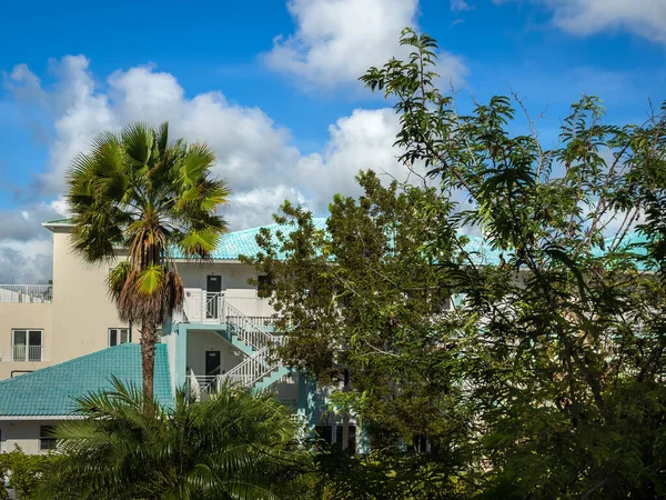 ケイマン諸島 ケイマン諸島 2023年6月 緑豊かな熱帯植物によるセブンマイルビーチリゾート クラブの景色 — ストック写真