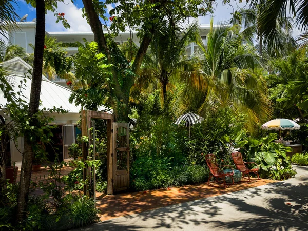 Stock image Grand Cayman, Cayman Islands, May 26th 2023, view of a footpath by Miss Pipers restaurant going through a lush tropical vegetation