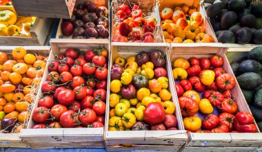 Provencal Market 'in tezgahındaki küçük sandıklardaki farklı domates çeşitlerinin görüntüsü