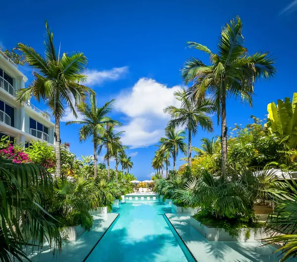 Grand Cayman, Cayman Adaları, 5 Ağustos 2023, Palm Heights 'taki yüzme havuzu manzarası, Seven Mile Beach' teki butik bir otel.