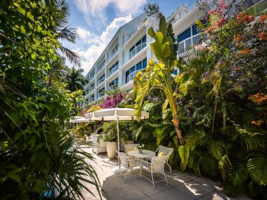 Grand Cayman, Cayman Adaları, 5 Ağustos 2023, Palm Heights 'ın dinlenme alanı, Seven Mile Beach' te bir butik otel.