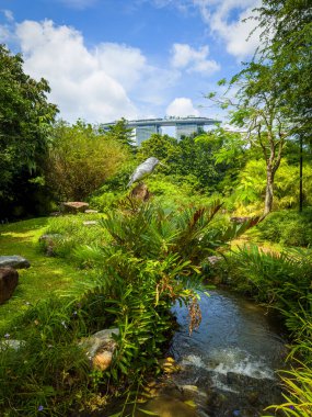 Singapur, 5 Şubat 2024, Kingfisher 'ın körfezdeki bahçelerdeki manzarası, şehirdeki bir vahşi yaşam sığınağı.
