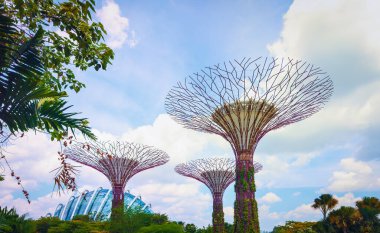 Singapur, 5 Şubat 2024, Körfez kıyısındaki Bahçelerdeki Süperağaç Korusu manzarası