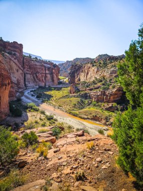 Utah, Paria Box Trailhead 'deki kaya oluşumunun görüntüsü.