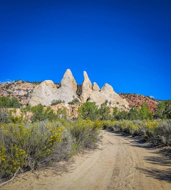 Arizona 'daki kanyon yolunun toprak manzarası.