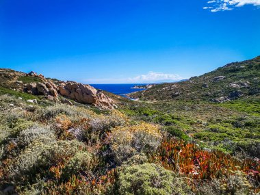 Akdeniz kıyısındaki l 'Ile-Rousse manzarası
