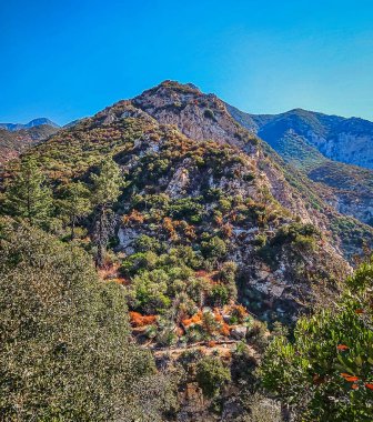 Los Angeles 'taki Gabrielino Patikası' ndan Switzer Şelalesi 'ndeki San Gabriel Dağları manzarası.
