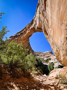 Doğal Köprüler Ulusal Anıtı 'nda bir kaya oluşumu olan Sipapu Köprüsü manzarası
