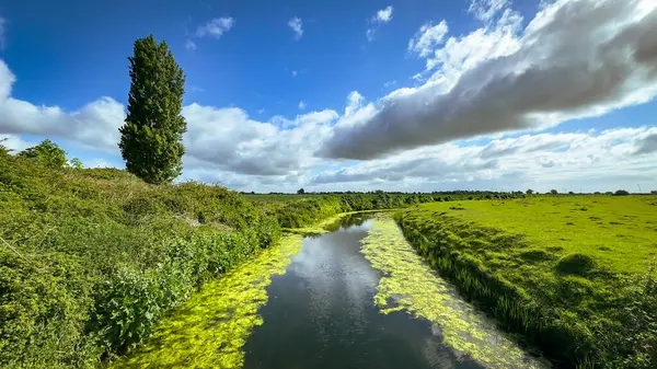 Düşük gelgitte Rother Nehri 'ne dökülen bir drenaj kanalı olan Northpoint Kanalı' nın görüntüsü.