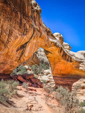 Doğal Köprüler Ulusal Anıtı 'nda bir kaya oluşumu olan Hickman Doğal Köprüsü manzarası