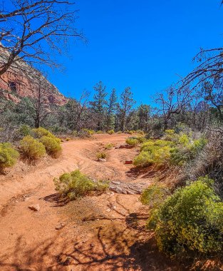 Boynton Kanyonu 'ndaki toprak bir patikanın görüntüsü, Sedona' nın yürüyüşlerinden biri..