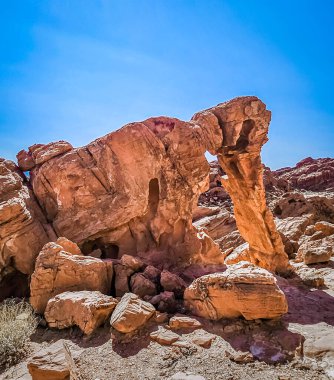 Nevada, ABD 'deki Ateş Vadisi' nde fil şeklinde bir kaya oluşumunun görüntüsü.